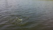 IMG_20140927_125651.jpg