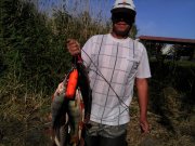 IMG_20140907_154226.jpg