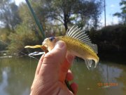 DSC02744.JPG