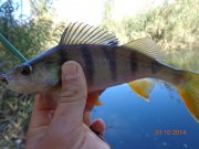DSC02746.JPG