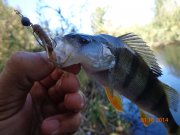 DSC02749.JPG
