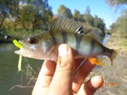 DSC02750.JPG