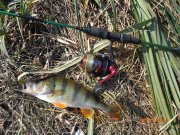 DSC02812.JPG