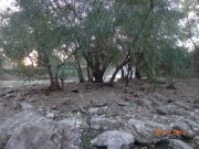 DSC02769.JPG