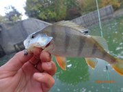 DSC02770.JPG