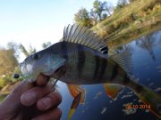 DSC02782.JPG