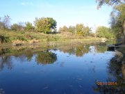 DSC02783.JPG