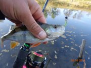 DSC02787.JPG