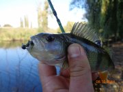 DSC02793.JPG