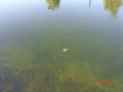 DSC02794.JPG