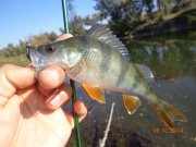 DSC02807.JPG