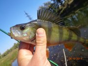 DSC02808.JPG