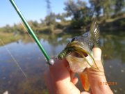 DSC02809.JPG
