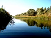DSC00779.JPG
