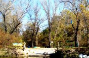 DSC00781.JPG