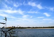 DSC00782.JPG