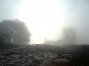 DSC00813.JPG