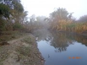 DSC02836.JPG