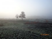 DSC02837.JPG