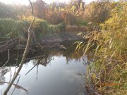 DSC02841.JPG