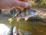 DSC02844.JPG