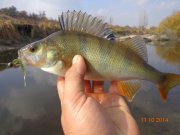 DSC02846.JPG