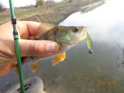 DSC02847.JPG