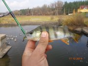 DSC02849.JPG