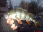 DSC01624.JPG