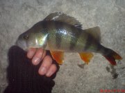 DSC01626.JPG