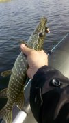 IMG_20141022_140039.jpg