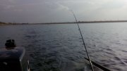 IMG_20141022_145423.jpg