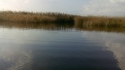 IMG_20141022_152302.jpg