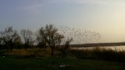 IMG_20141022_163949.jpg