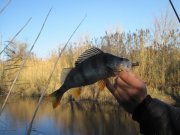 IMG_0240.JPG