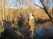 IMG_0242.JPG