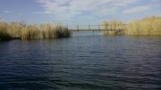 IMG_20141029_102407.jpg