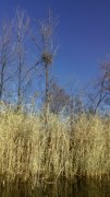 IMG_20141031_135908.jpg