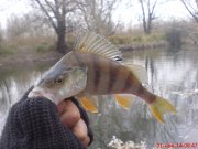 DSC01640.JPG