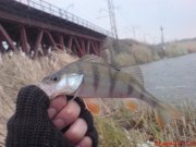 DSC01642.JPG