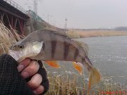 DSC01643.JPG