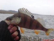 DSC01645.JPG