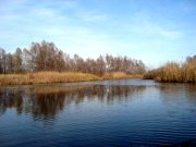 DSC00881.JPG