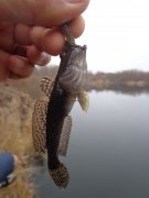 DSC02970.JPG