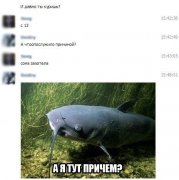 сома захотела.jpg