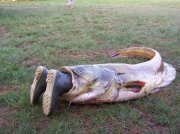 Bad-Fishing-Day.jpg