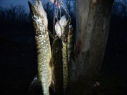 PC070021.JPG