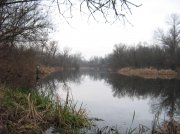 IMG_9916.jpg