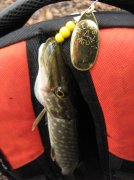 IMG_9920.jpg