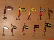 DSC01140.JPG